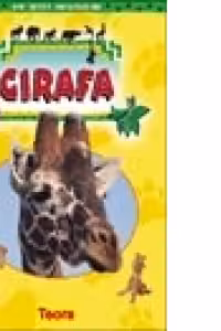 Girafa