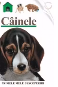 Cainele