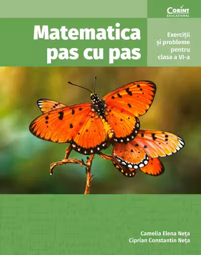 Matematica pas cu pas. Exercitii si probleme pentru clasa a 6-a