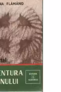 Aventura lemnului