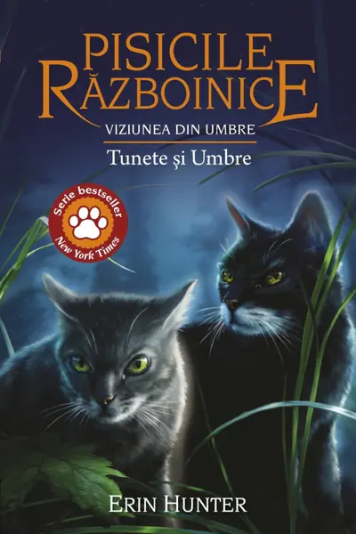 Tunete si Umbre