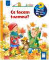 Ce facem toamna?
