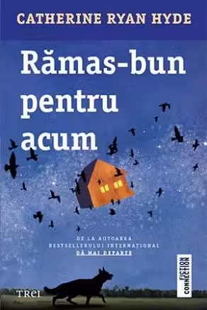 Ramas bun pentru acum