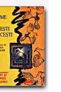 BASME SI POVESTI TURCESTI - REPOVESTITE