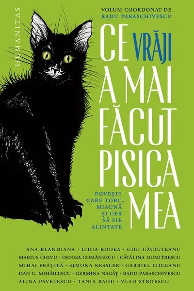 Ce vraji a mai facut pisica mea