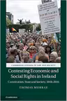 Contesting Economic and Social Rights in Ireland: Constitution, State and Society, 1848–2016