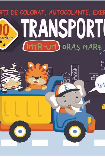 Transportul intr-un oras mare