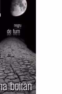 Negru de fum