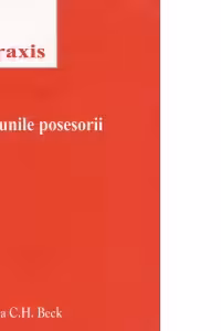 Actiunile posesorii