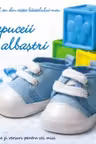 Papuceii albastri. Primul an din viata baietelului meu