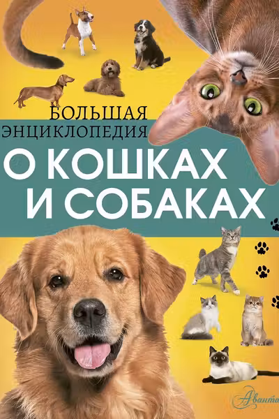 Большая энциклопедия о кошках и собаках