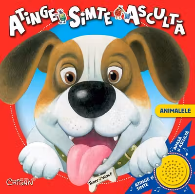 Animalele. Atinge, simte, ascultă