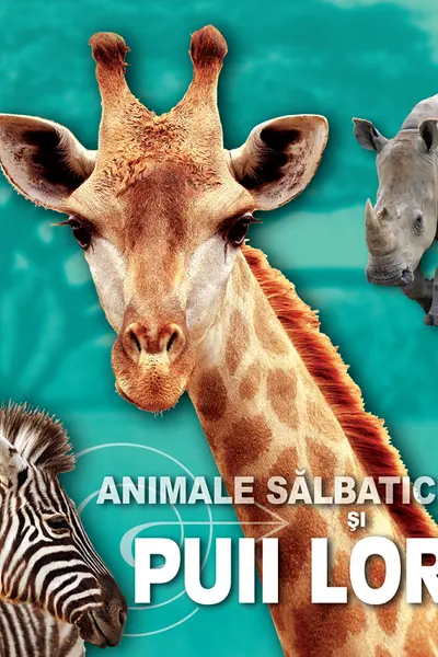Animale salbatice si puii lor