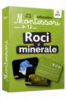Carti de joc Montessori. Roci si minerale 6-12 ani