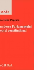 Raspunderea Parlamentului in Dreptul constitutional