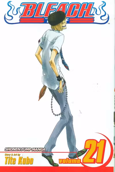 Bleach Vol. 21
