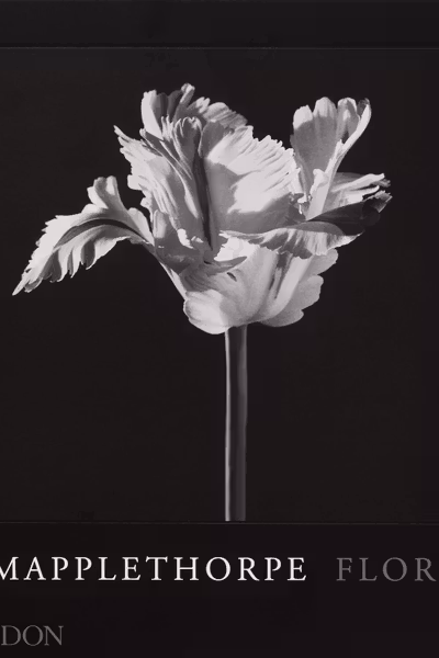 Mapplethorpe Flora