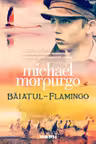 Baiatul flamingo