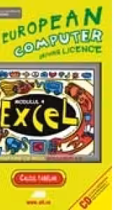 ECDL - MODULUL 4. EXCEL