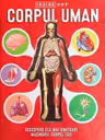 Corpul Uman – model 3D