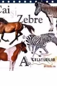 Antologia creaturilor uimitoare. Cai si Zebre