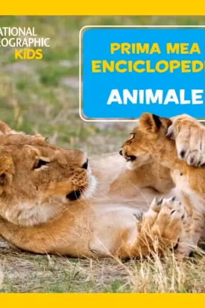 Animale