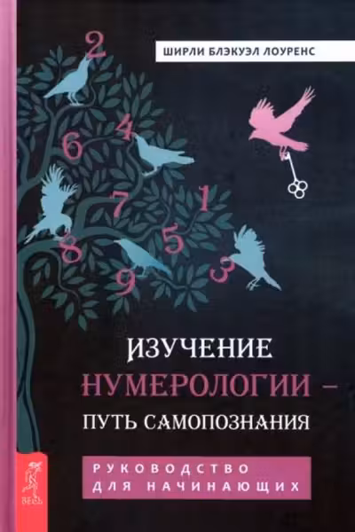 Изучение нумерологии - путь самопознания. Руководство для начинающих