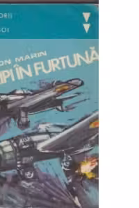Aripi in furtuna