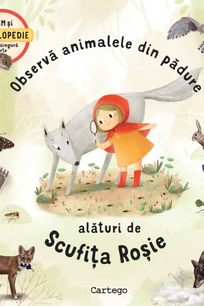 Observa animalele din padure impreuna cu Scufita Rosie