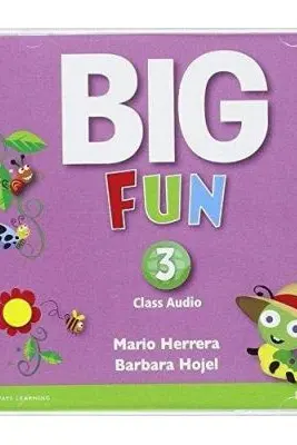 Big Fun 3 Class Audio