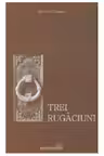 Trei rugaciuni. Tatal Nostru, Imparate Ceresc, Rugaciunea Sfantului Efrem Sirul