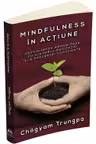 Mindfulness in actiune