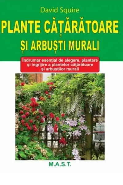Plante cățărătoare și arbuști murali