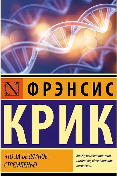 Что за безумное стремленье!