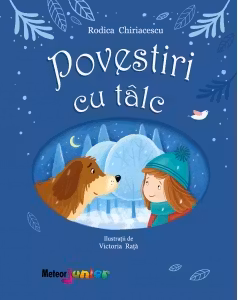 Povestiri cu talc