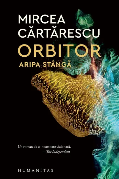 Orbitor. Aripa stanga