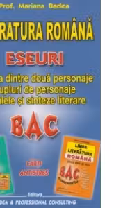 Literatura romana. Eseuri - Relatia dintre doua personaje