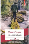 Ca o piatra in riu