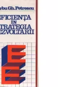 Eficienta in strategia dezvoltarii