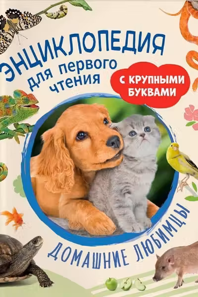 Домашние любимцы. Энциклопедия для первого чтения с крупными буквами