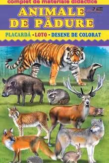 Complet.Animale de padure.Placarda-Loto-Desene de colorat