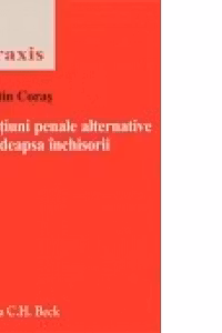 Sanctiuni penale alternative la pedeapsa inchisorii
