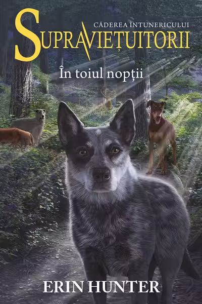 In toiul noptii