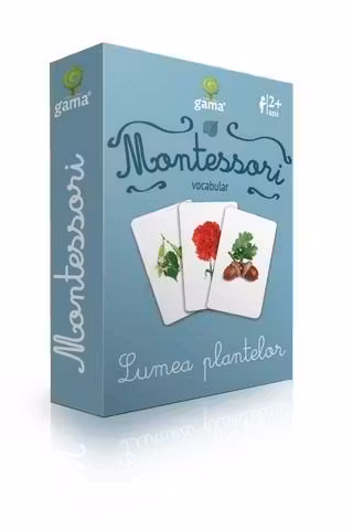 Vocabular. Lumea plantelor