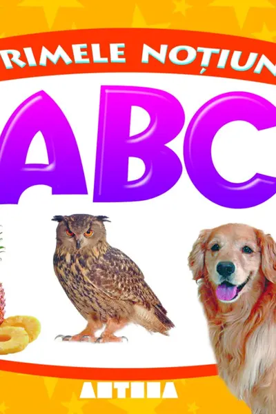 Primele notiuni: ABC