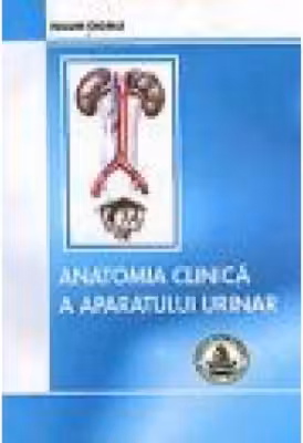 Anatomia clinica a aparatului urinar