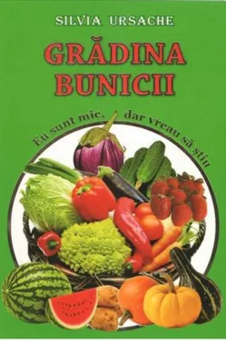 Gradina bunicii