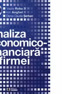 Analiza economico-financiara a firmei - Vasile Robu, Ion Anghel, Elena Claudia Serban