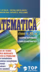 Culegere de exercitii. Matematica, Clasa a 11-a. Sinteze si teorie. Algebra superioara, Analiza matematica