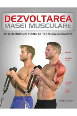 Dezvoltarea masei musculare